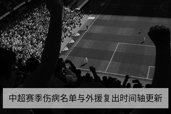 中超赛季伤病名单与外援复出时间轴更新